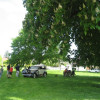 IMG 5627