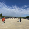 IMG 9655