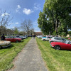 IMG 9704
