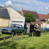 IMG 9712