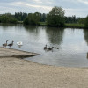 IMG 9754