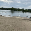 IMG 9755