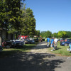 IMG 5942