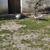 IMG 20260322 143716
