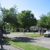 IMG 6564