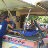 IMG 6591