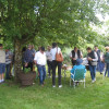 IMG 6674