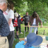 IMG 6687