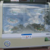 IMG 6691