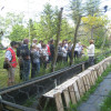 IMG 6730