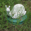 IMG 6731