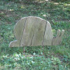 IMG 6732