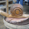 IMG 6735