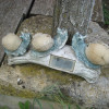 IMG 6736