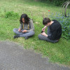 IMG 6741